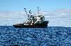 baltictugcompany005003.jpg