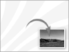 baltictugcompany006004.gif